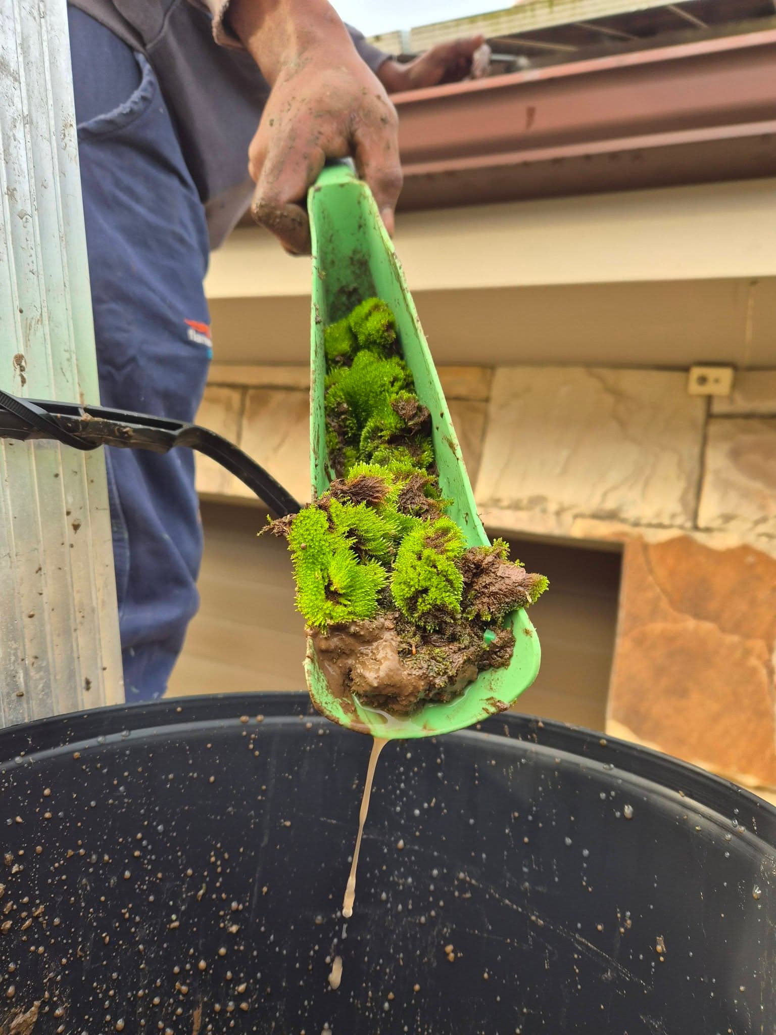 Green moss and algae growth being removed from a surface